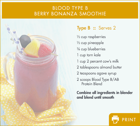 Type B - Energy-Boosting Protein Drink