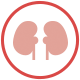 Sugar effects on the kidneys Sugar effects on the kidneys