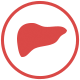 Sugar effects on the liver Sugar effects on the liver