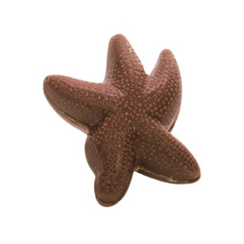 REEF STAR Macadamia nut gianduja in milk chocolate REEF STAR Macadamia nut gianduja in milk chocolate