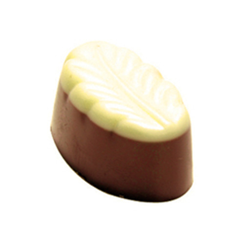 RAINFOREST MACADAMIA Aust. lemon myrtle & macadamia praline RAINFOREST MACADAMIA Aust. lemon myrtle & macadamia praline