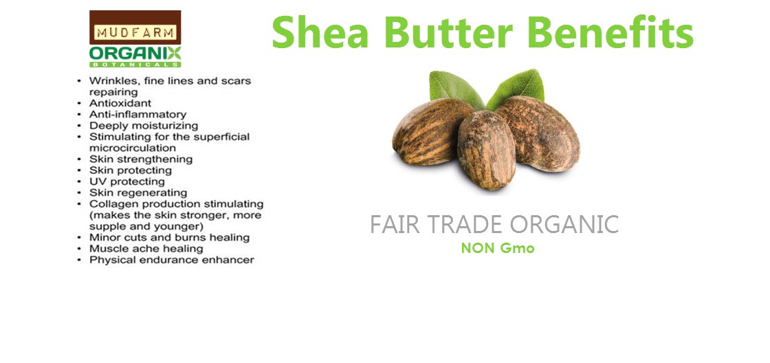 Canada’s Leading Supplier of Natural Raw Black Soap & Shea Butter