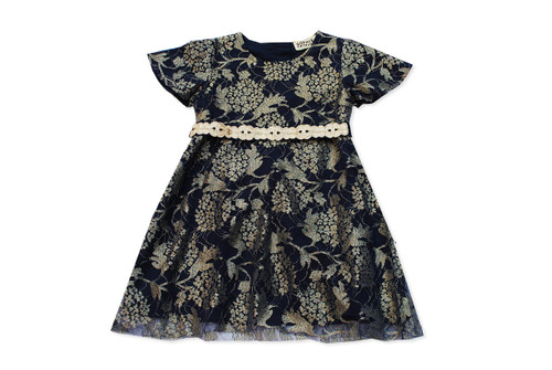 Sample Sale Gold and Noche Blue Dress Sample Sale Gold and Noche Blue Dress