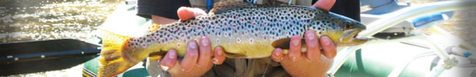 fly fishing extras, like fly boxes & nippers fly fishing extras, like fly boxes & nippers