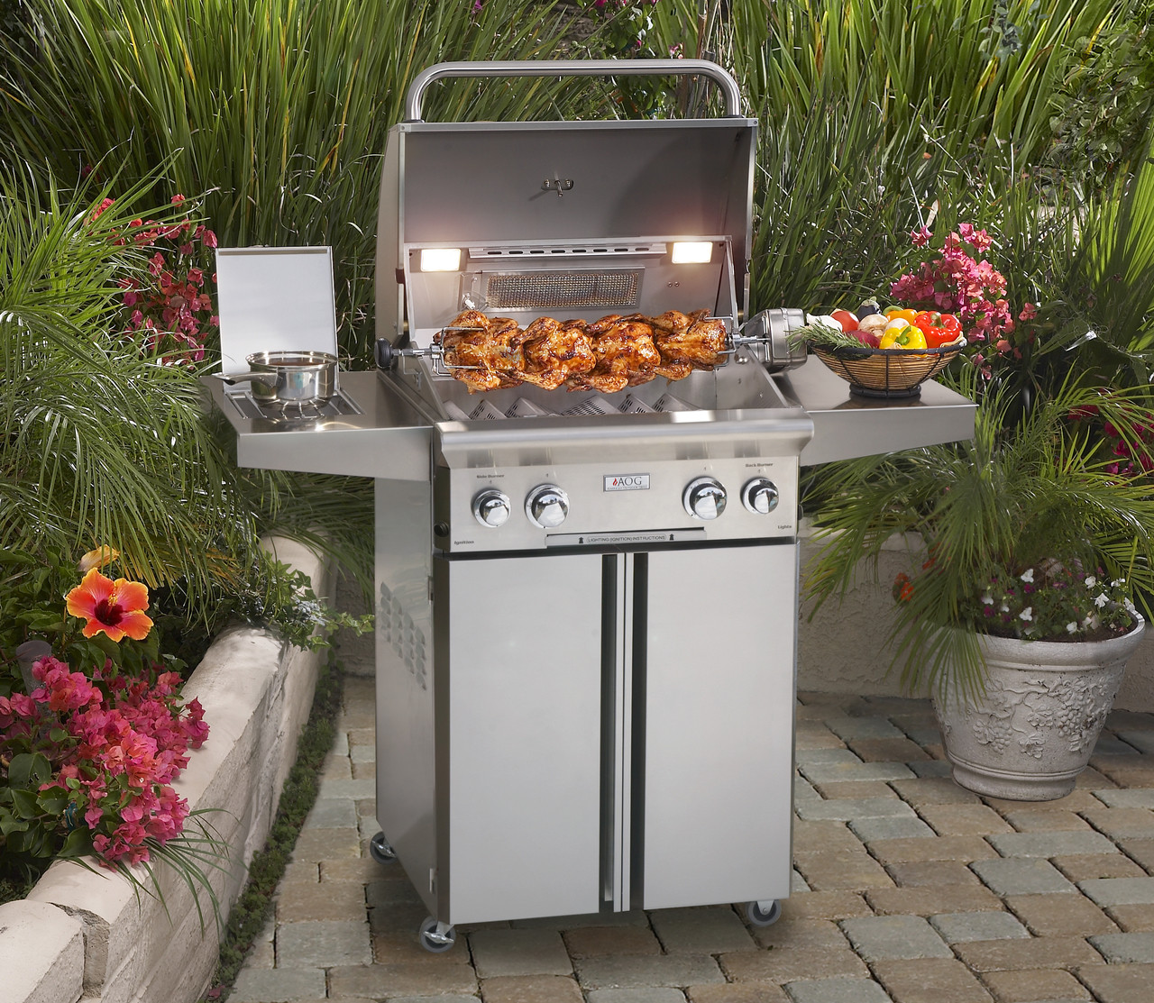 American Outdoor Grill 24" L- Series Portable Barbecue - Embers ...