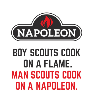 napoleon-grills-category-2