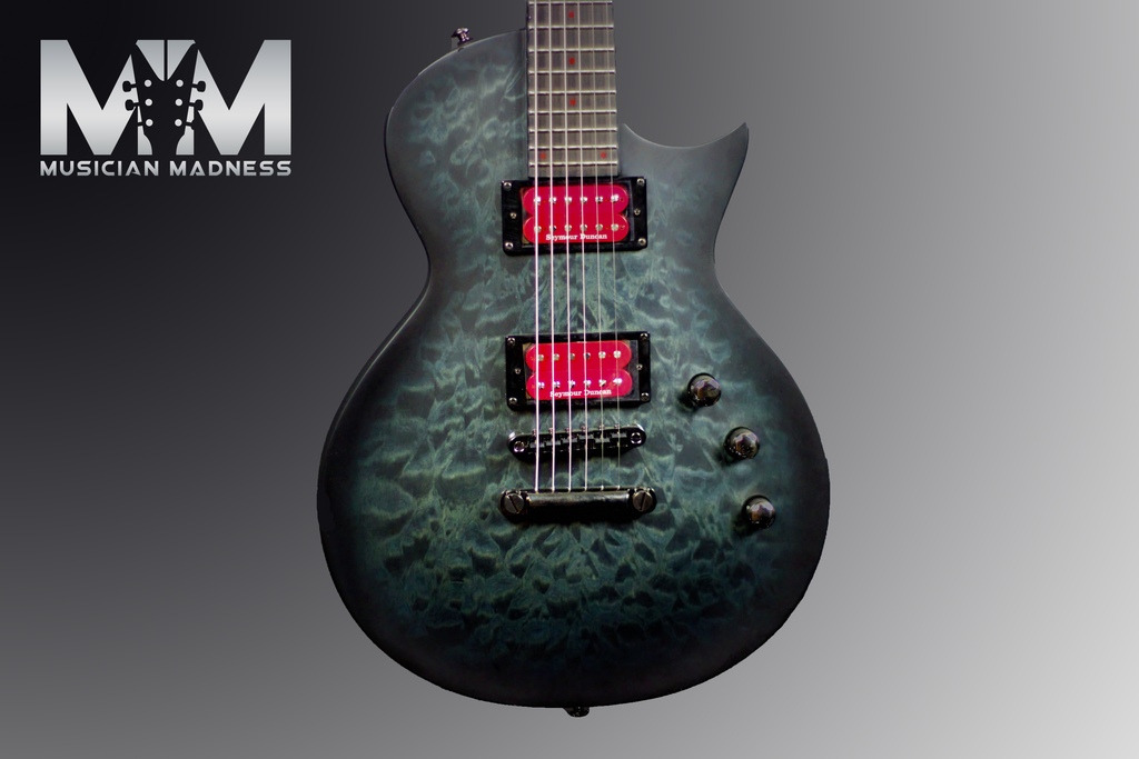 The Signature BB600B- Ben Burnley's guitar of choice
