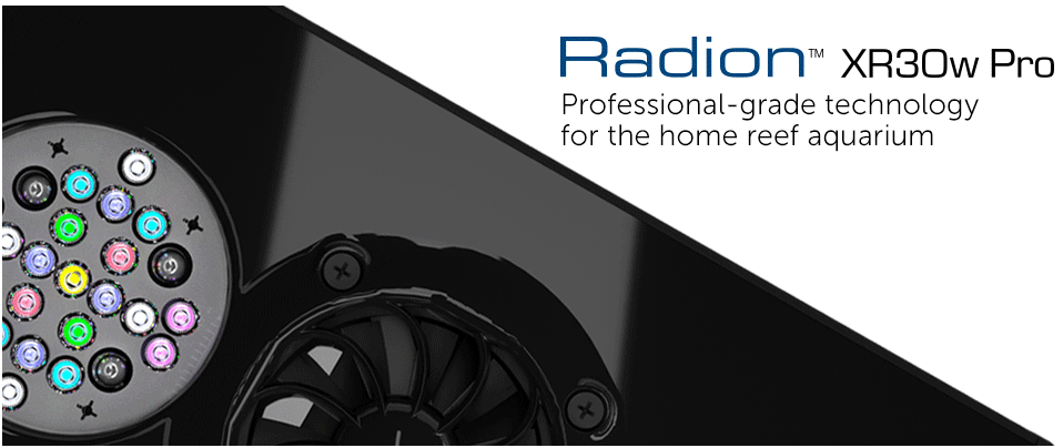 radion-header-pro.png radion-header-pro.png