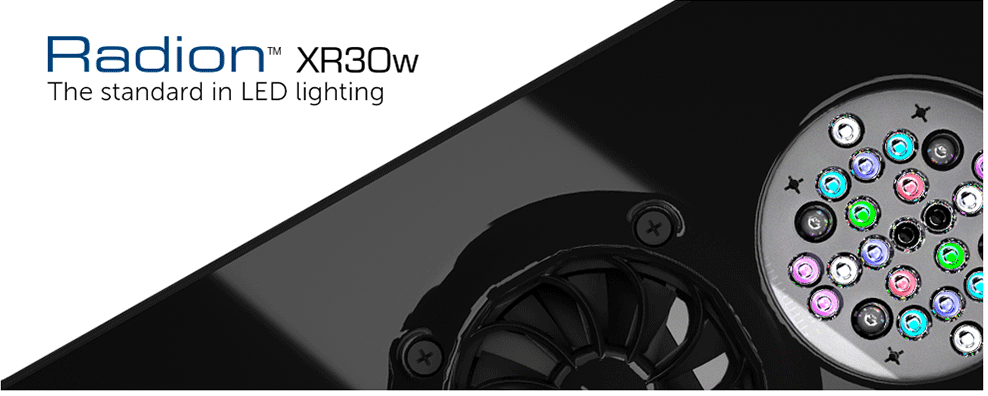 radion-header.png radion-header.png