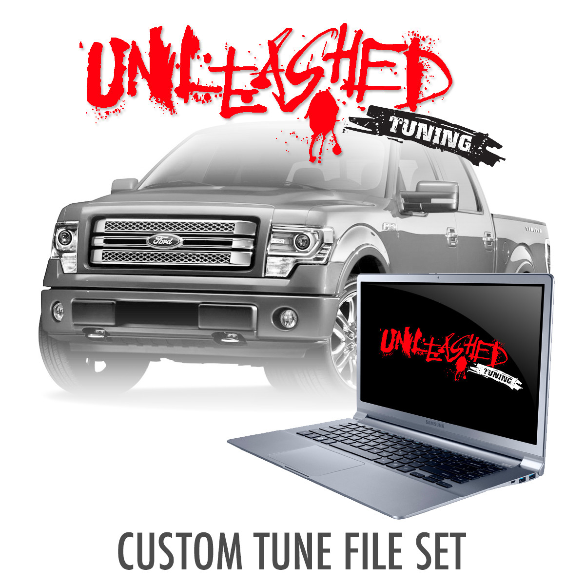 Unleashed Custom Tuning for Big Turbo F150 Ecoboost Unleashed Tuning