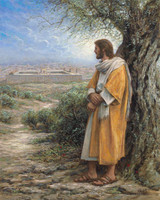 I Would Have Gathered Thee11x14 OE - Litho Print