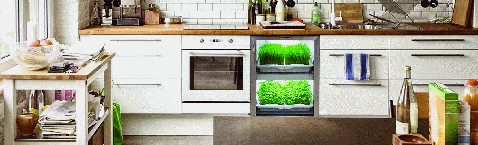 Home & Kitchen Appliances Edmonton Avenue Appliance Store