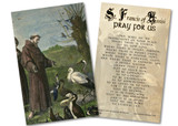 St. Francis Sermon to the Birds Holy Card