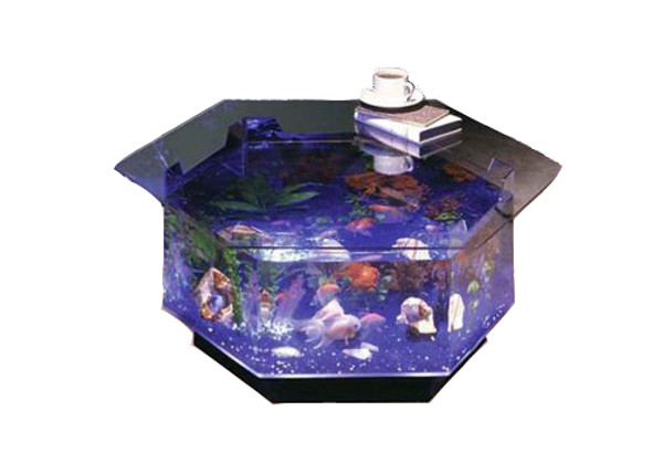 midwest tropical custom water features midwest tropical custom water features