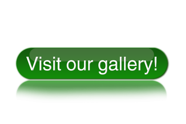 visit-our-gallery.png visit-our-gallery.png