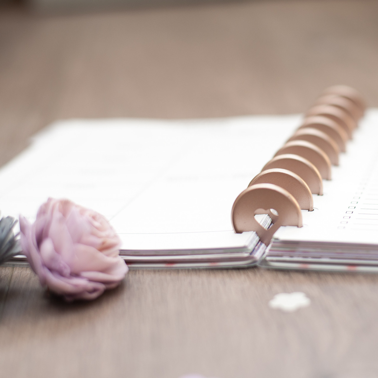 Planners: Decoded!