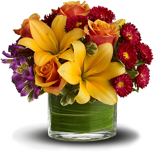 Abbott Florist Abbott Florist