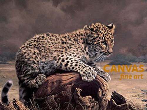 Charles Frace 'African Leopard Cub' 9x12 Art Print O/E Charles Frace 'African Leopard Cub' 9x12 Art Print O/E