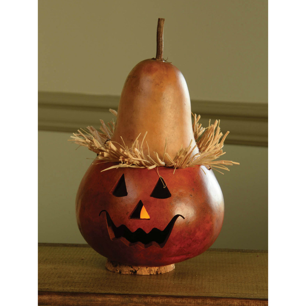 meadowbrooke gourds alex mini gourd the christmas loft meadowbrooke gourds alex mini gourd the christmas loft