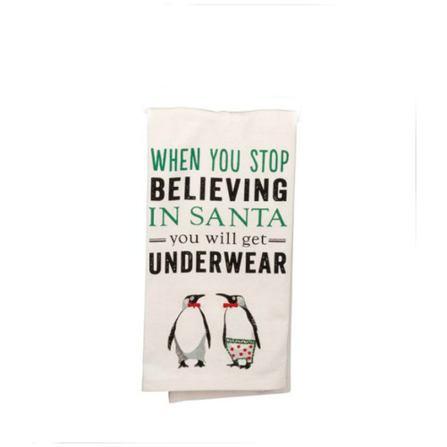 Stop Believing Dish Towel