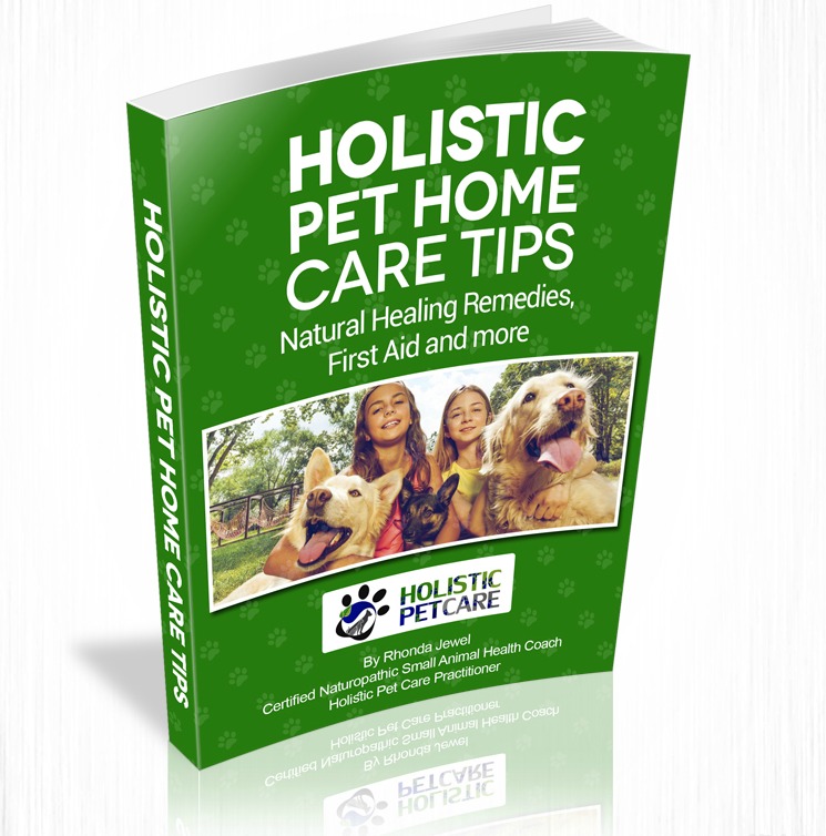 Free Ebook