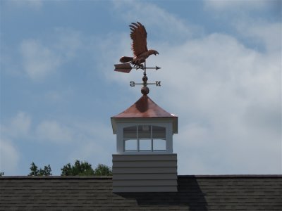 eagle-on-roof.jpg eagle-on-roof.jpg