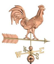 home-page-rooster.jpg home-page-rooster.jpg