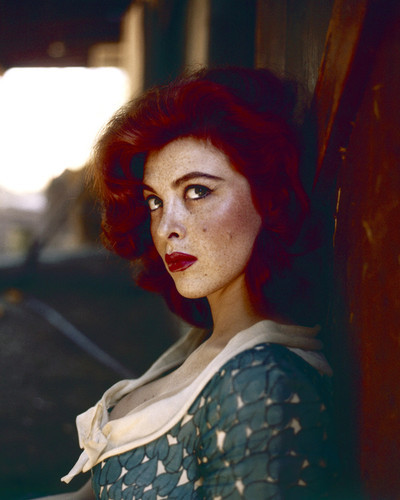 Movie Market - Prints & Posters of Tina Louise 299820