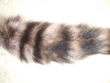 COLOR ADDED RACCOON TAIL - FURTAILS