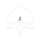 cotton.png cotton.png