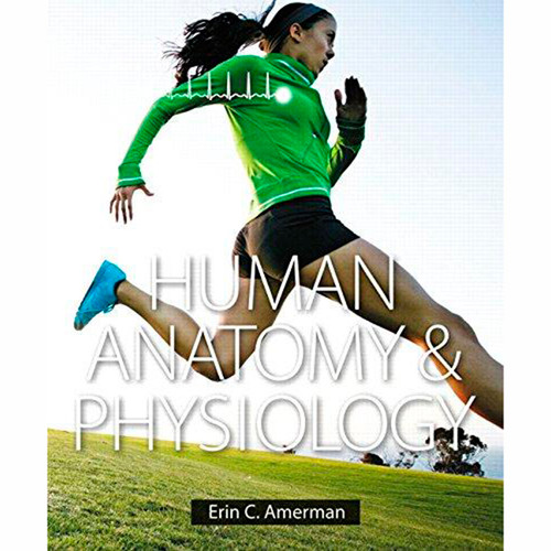 Human Anatomy & Physiology (1st Edition) Erin Amerman