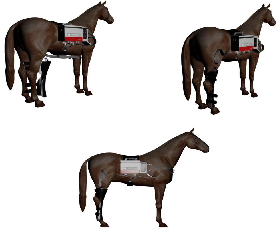Cold compression therapy for horses