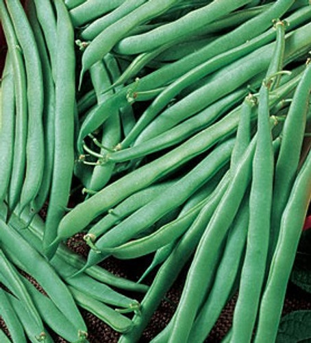 Greencrop