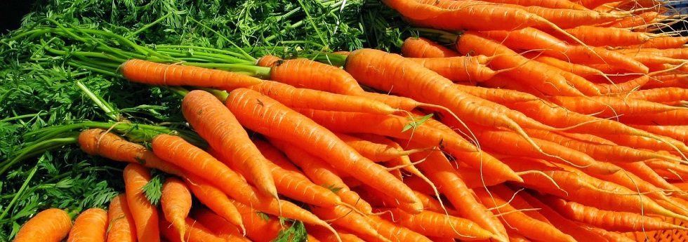 carrot-category.jpg carrot-category.jpg
