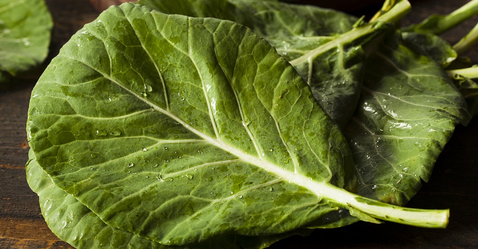 collard-category.jpg collard-category.jpg