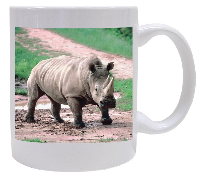 rhino coffee