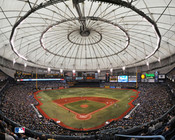 Tampa Bay Rays at Tropicana Field Poster