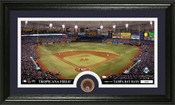 Tampa Bay Rays Infield Dirt Panoramic Photo Mint