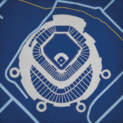 Tropicana Field City Print