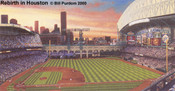 "Rebirth in Houston" Houston Astros Print