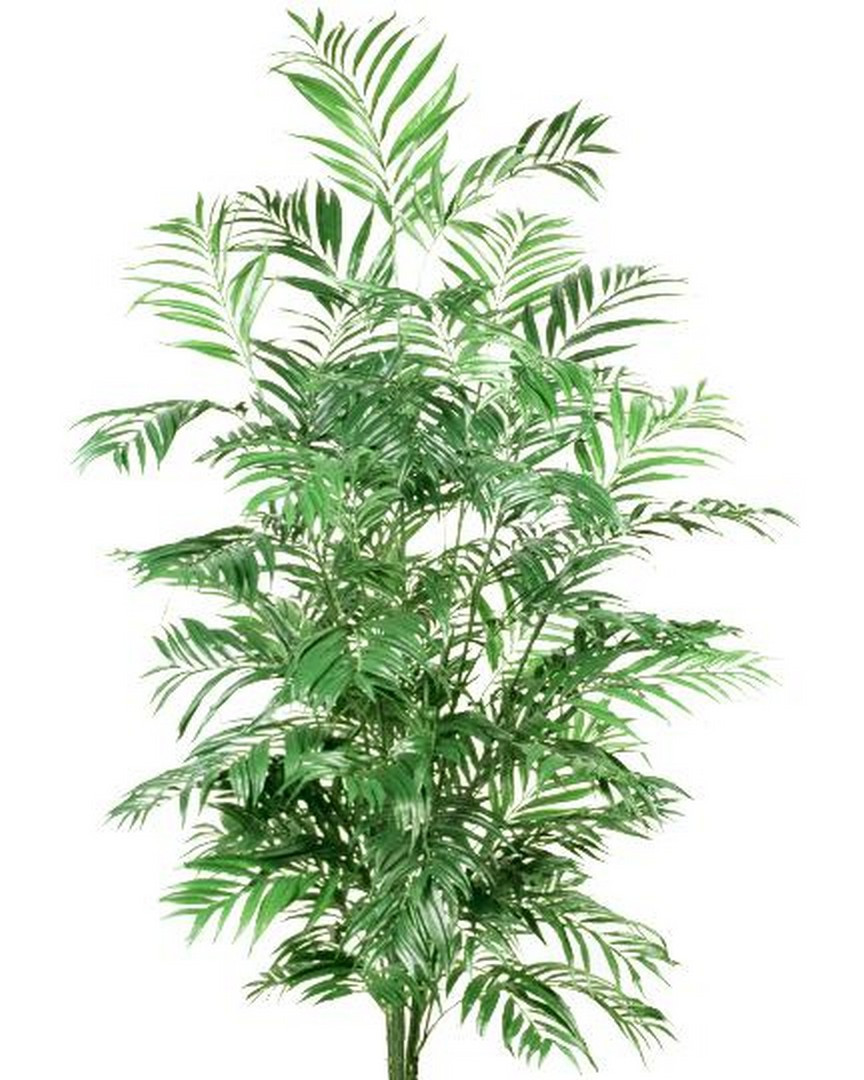 indoor artificial palm trees phoenix palm trees indoor artificial palm trees phoenix palm trees