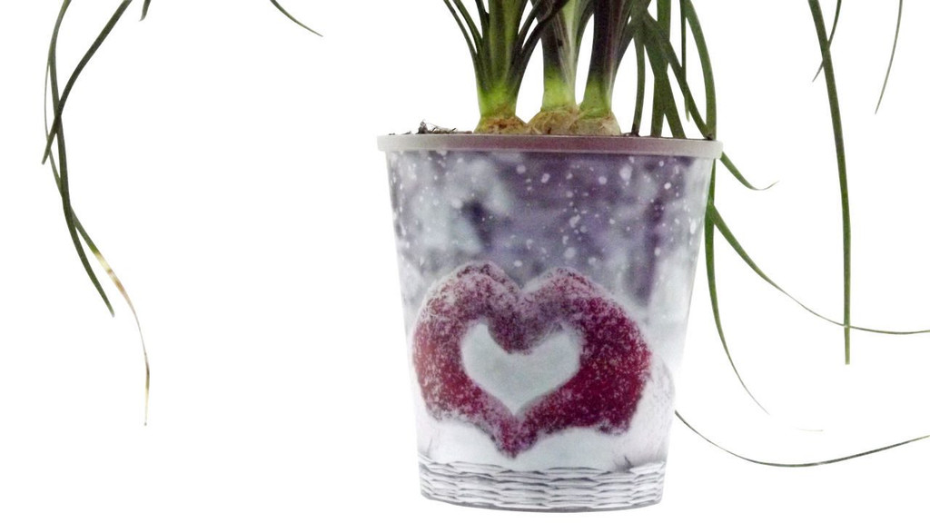 Love Heart Pot