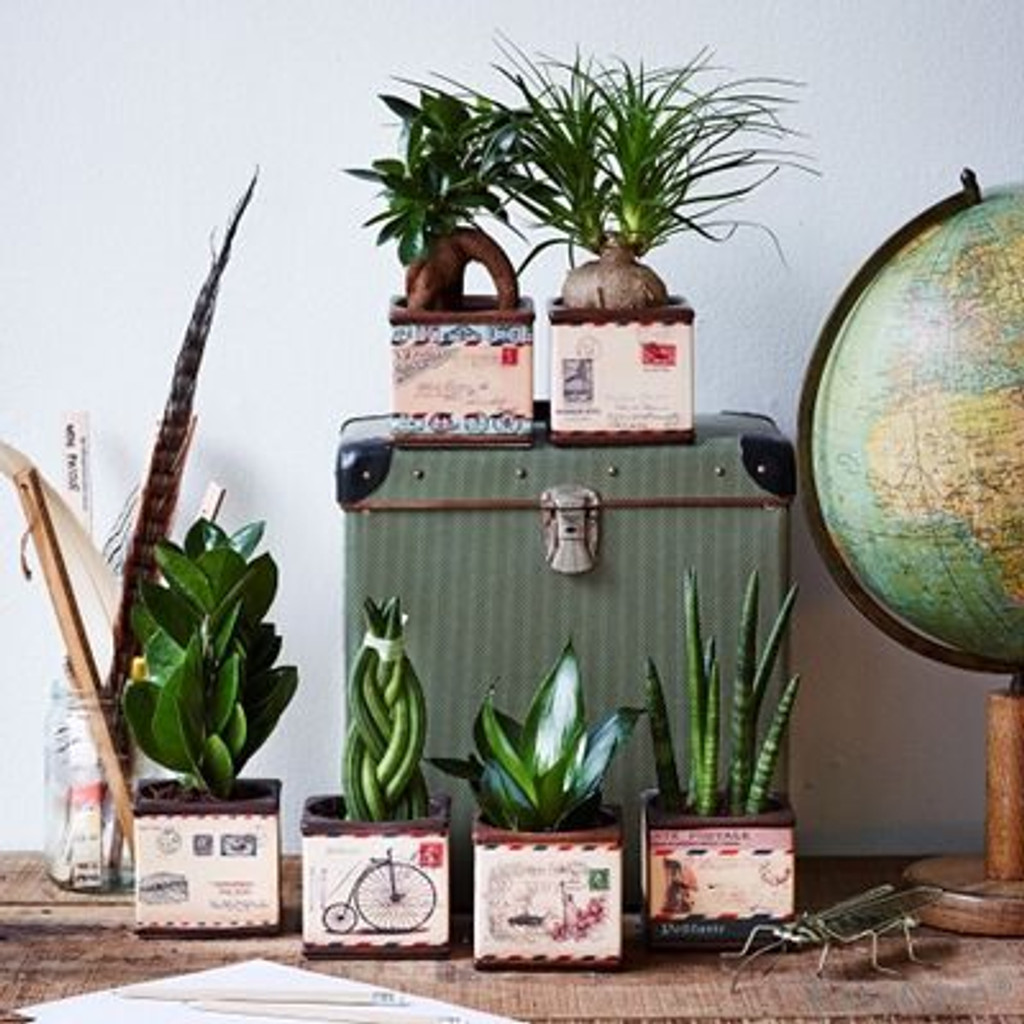 Retro Airmail Tin mix