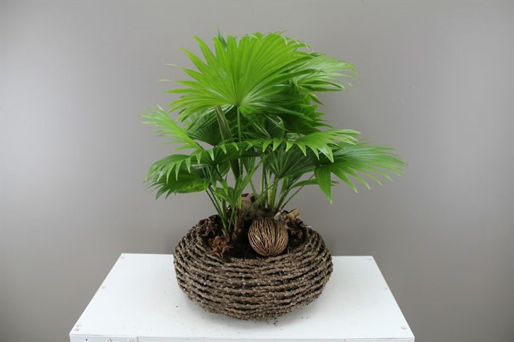 Footstool Palm and basket