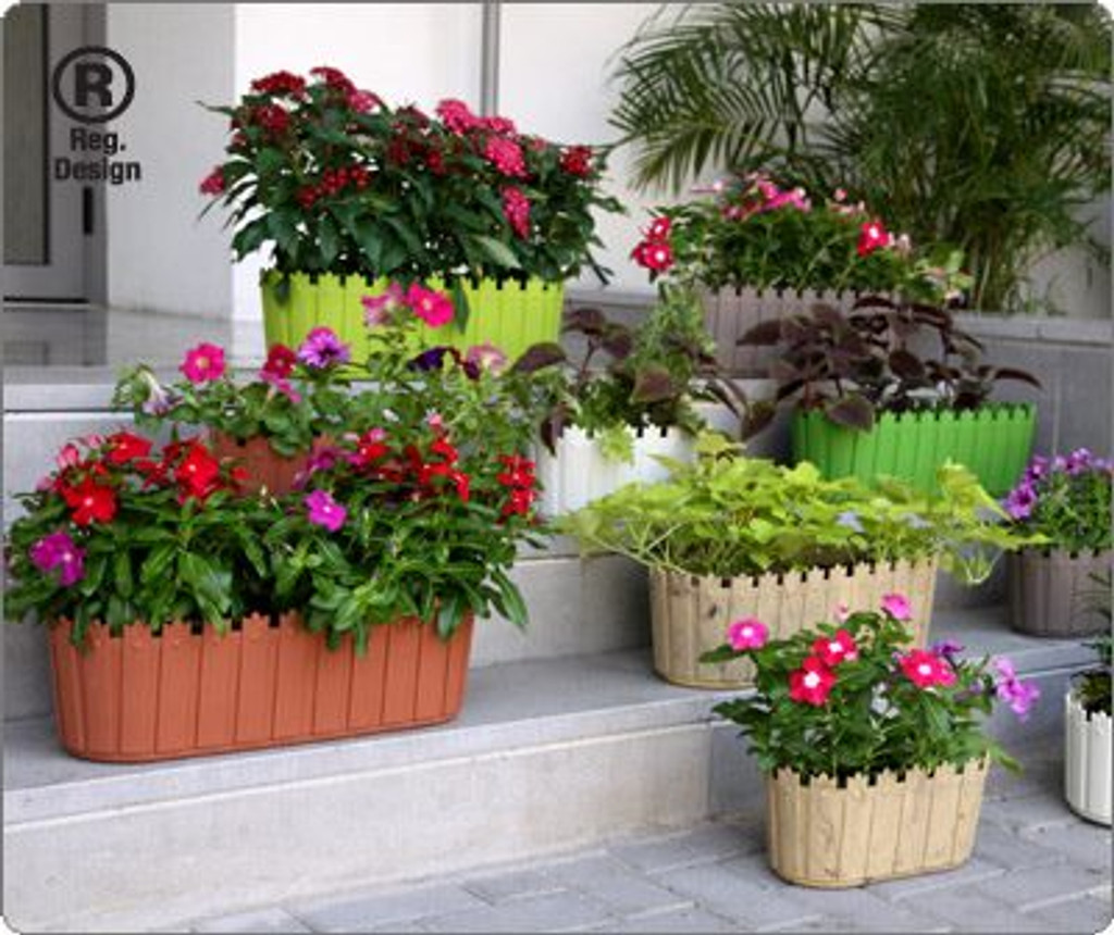 Colourful cottage planter