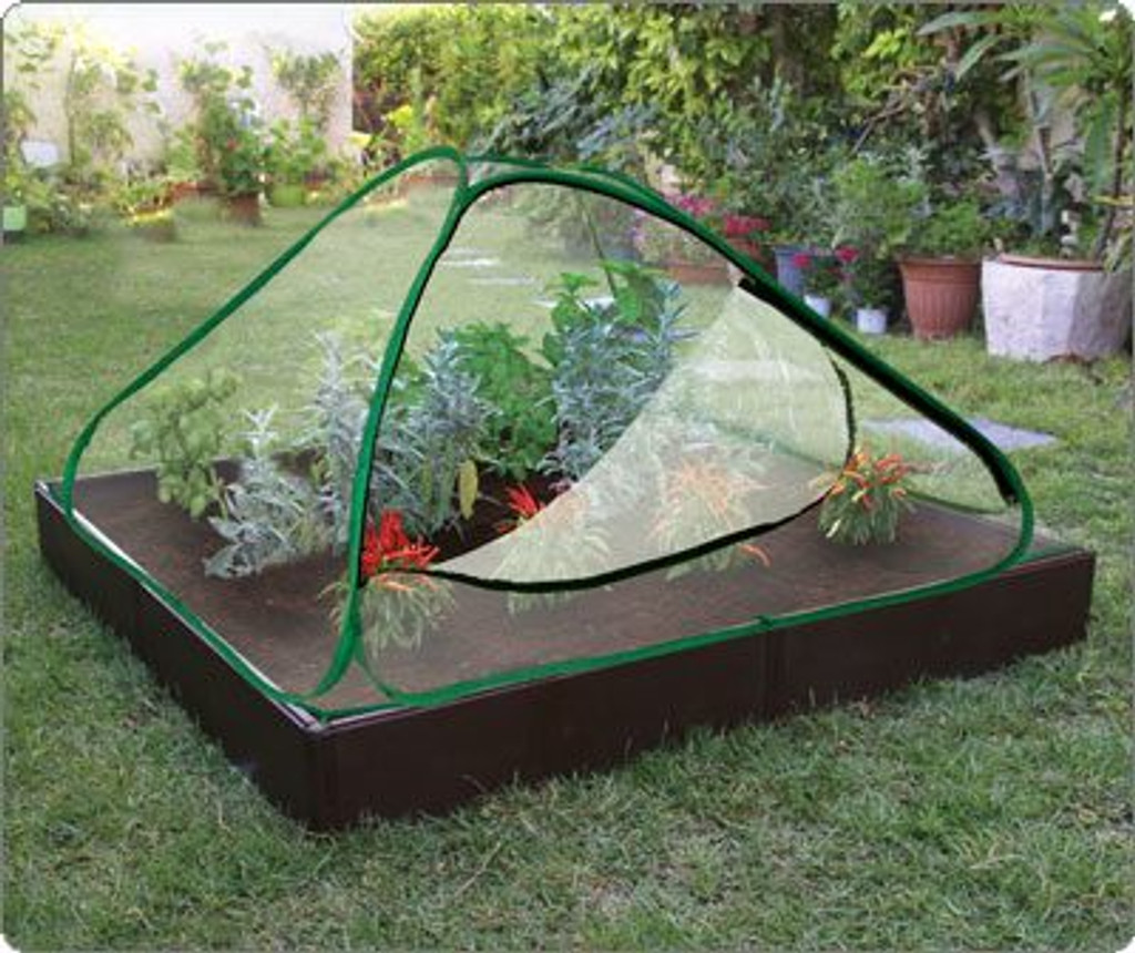 Raised Garden Bed with Cover