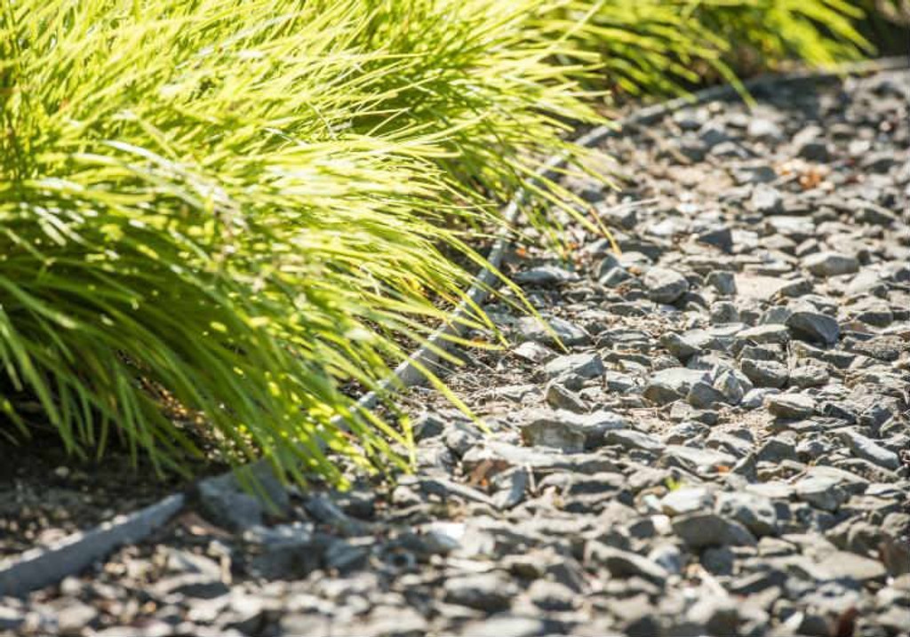 Garden Path Edging