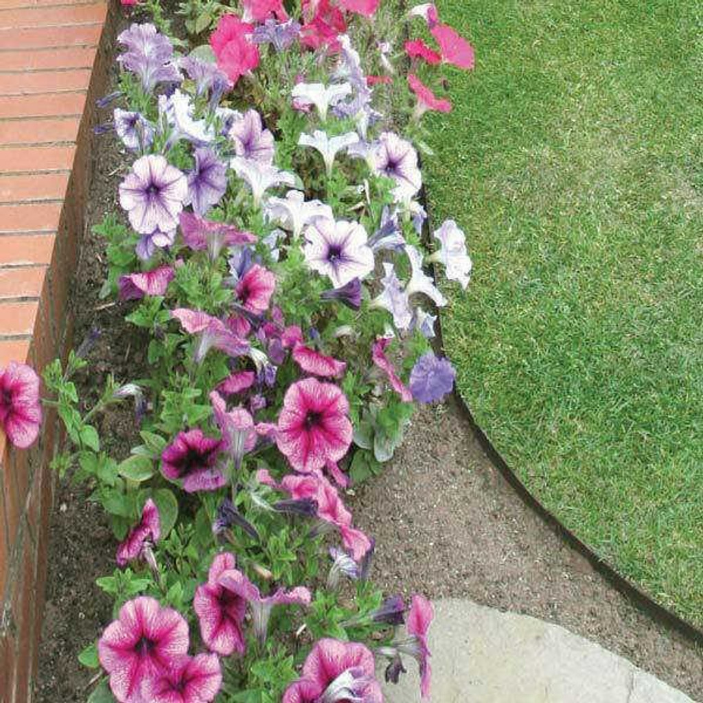Lawn edging in garden bed