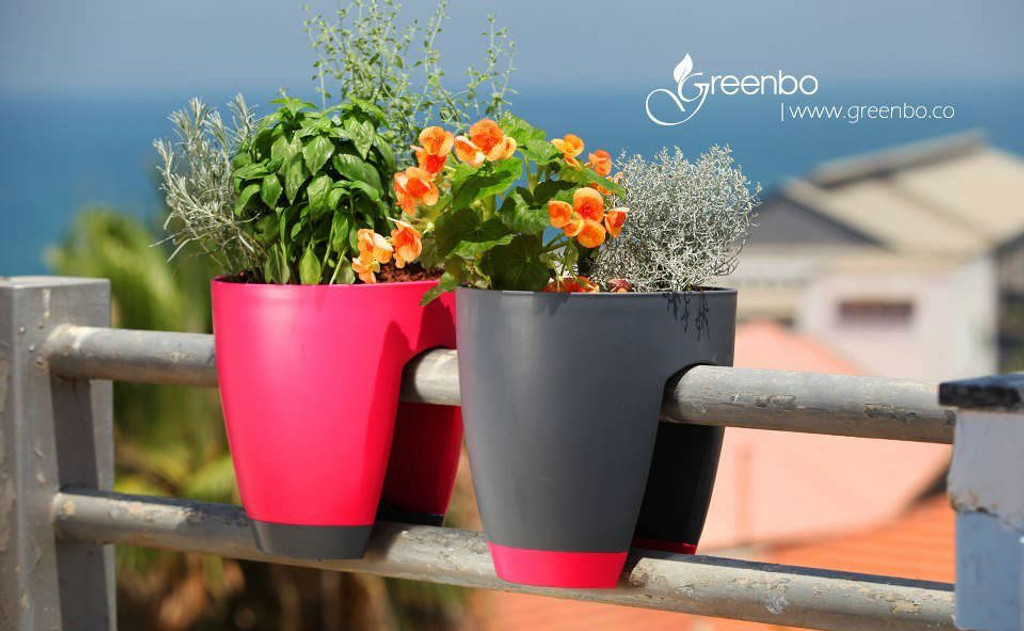 Mixed colour Greenbo railing and balcony planter.