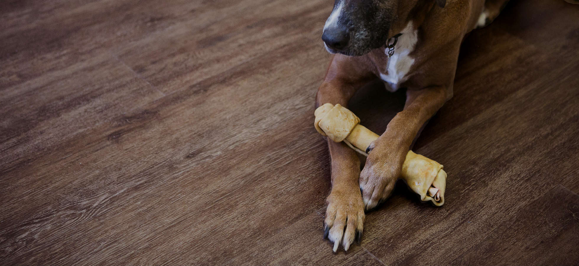 Luxury Vinyl Plank Flooring Flooret